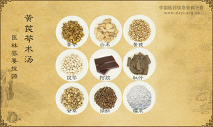黄芪芩术汤