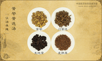 黄芩黄连汤