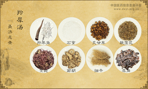 羚犀汤