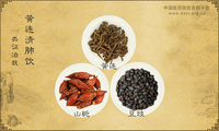 黄连清肺饮