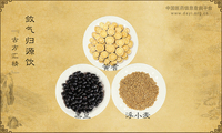 敛气归源饮《古方汇精》