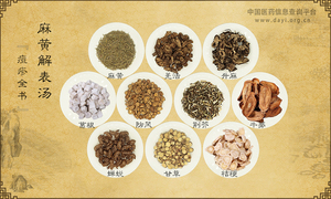 麻黄解表汤