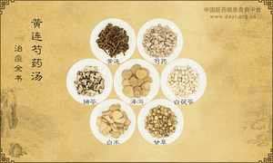 黄连芍药汤