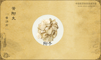 黄附丸《普济方》