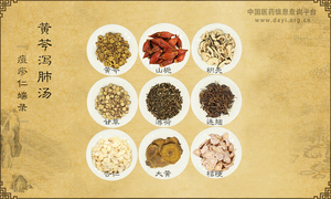 黄芩泻肺汤