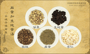 麻黄加生地黄汤