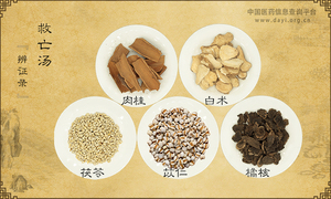 救亡汤《辨证录》