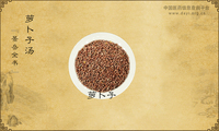萝卜子汤《景岳全书》卷五十四