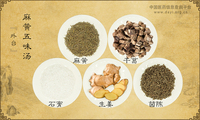 麻黄五味汤