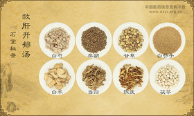 救肝开郁汤《石室秘录》