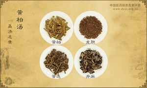黄柏汤《圣济总录》卷一八三