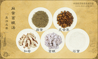 麻黄葛根汤《圣济总录》