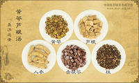 黄芩芦根汤