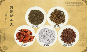 萸连栀石丸