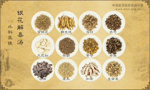 银花解毒汤《外科医镜》