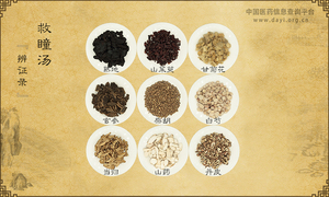 救瞳汤《辨证录》