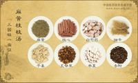 麻黄桂枝汤《三因极一病证》
