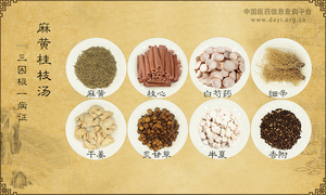 麻黄桂枝汤《三因极一病证》