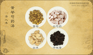 黄芩芍药汤《活人书》