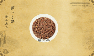 萝卜子汤《景岳全书》卷五十一