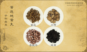 黄连地黄丸