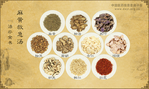 麻黄救急汤