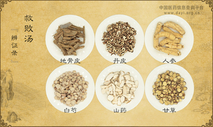 救败汤《辨证录》