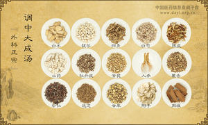 调中大成汤