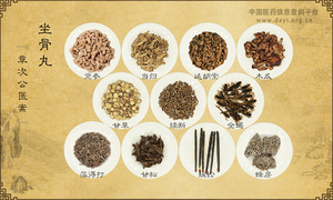 坐骨丸
