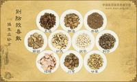荆防败毒散