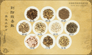 荆防败毒散