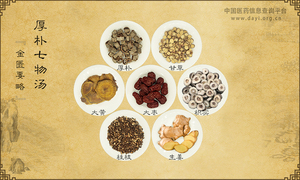 厚朴七物汤
