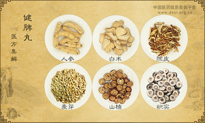 健脾丸