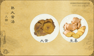 熟大黄汤