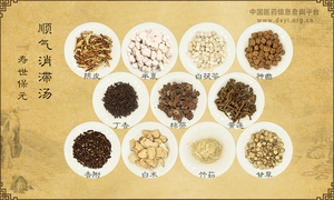 顺气消滞汤