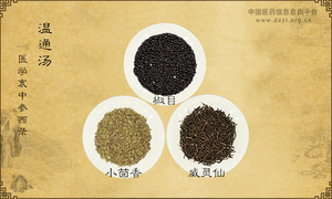 温通汤