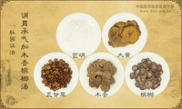 调胃承气加木香槟榔汤