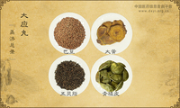 大应丸