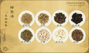 释擎汤