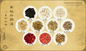 熟地补阴汤