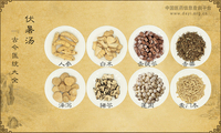 伏暑汤《古今医统大全》卷七十二