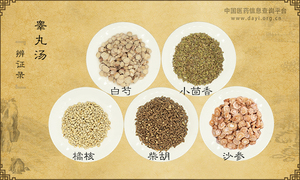 睾丸汤