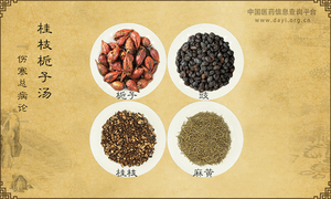桂枝栀子汤