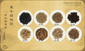 黑牛续地饮《顾松园医镜》
