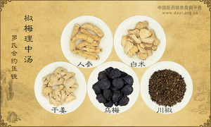 椒梅理中汤