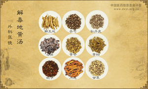 解毒地黄汤《外科医镜》