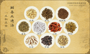 解毒木通汤《外科正宗》