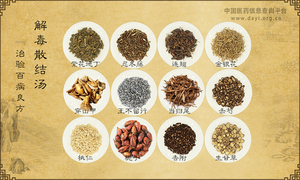解毒散结汤《治验百病良方》