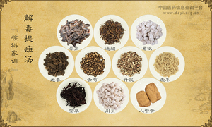 解毒提癍汤