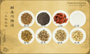 解毒泻脾汤